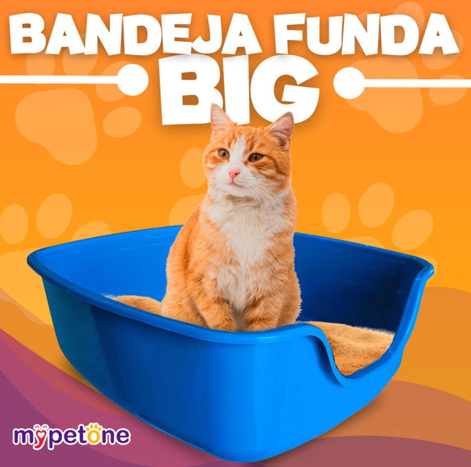 Caixa de Areia Funda Para Gatos Big Alvorada Pet