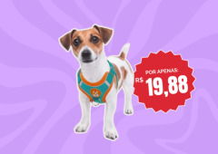 Coleira peitoral com 51% OFF vira queridinha de quem passeia com pets sem estresse