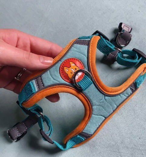 coleira peitoral azul com laranja