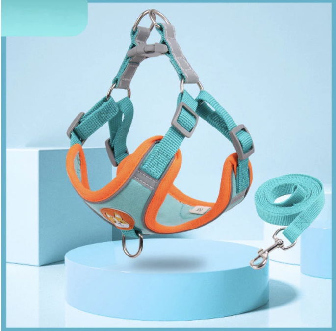 Conjunto De Guia + Coleira Tipo Colete azul