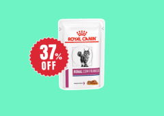 Esse sachê da Royal Canin ficou 37% mais barato e virou achado para tutores de gatos