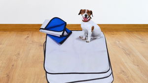 Praticidade e limpeza sem estresse: o kit que todo pai de pet precisa