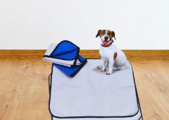 Praticidade e limpeza sem estresse: o kit que todo pai de pet precisa