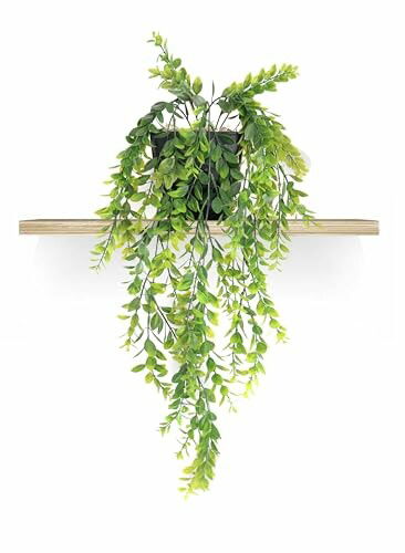 Planta Artificial Pendente com Vaso Preto Oliveira