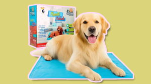 Tapete gelado para pets com até 50% OFF está chamando a atenção no verão