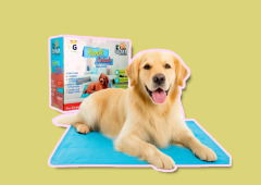 Tapete gelado para pets com até 50% OFF está chamando a atenção no verão