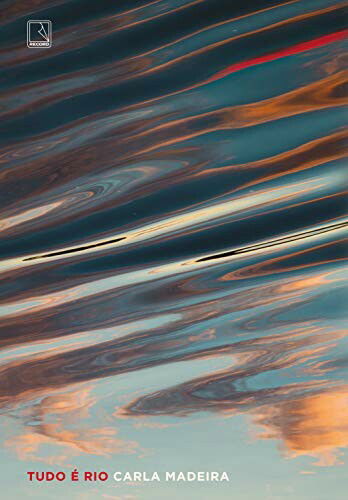 Tudo &eacute; rio eBook Kindle