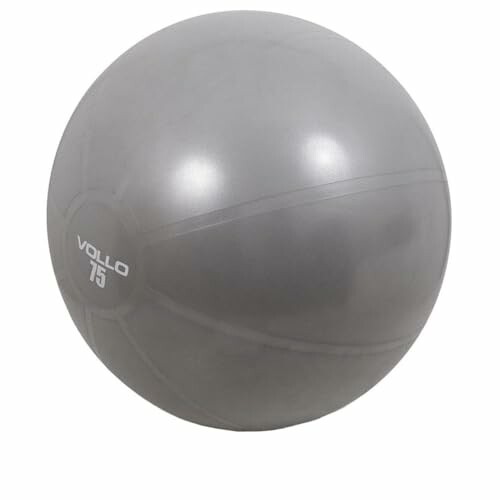 Vollo Sports Bola de Gin&aacute;stica 75 cm Cinza